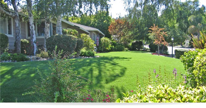 Artificial Lawn