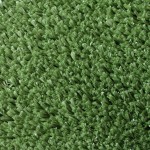 Augusta Pro Putt