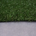 Champions Field