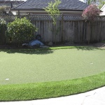Artificial Putting Green Examples