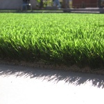Residential Examples