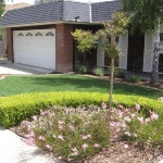 Residential Examples